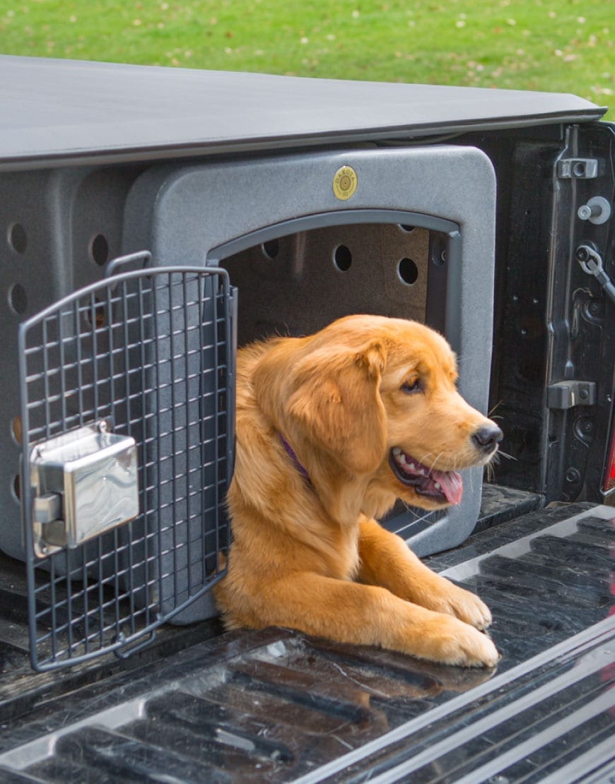 T1 Low Profile Dog Kennel and Crate - Perfect for Tonneau Covers Dog Kennel That Fits Under Tonneau Cover
