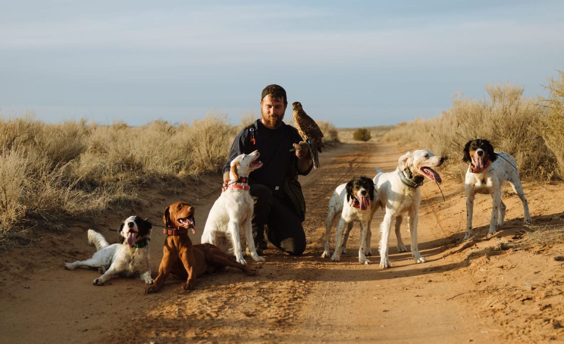 A falconer with his bird dogs.