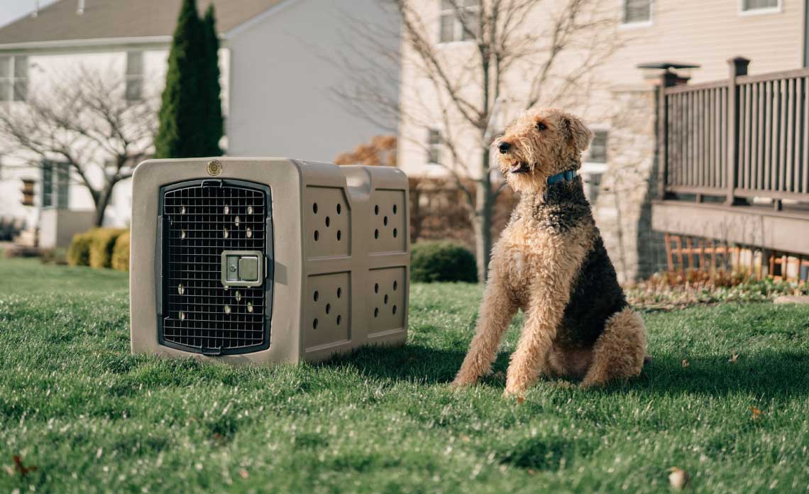 A medium sized dog sits next to a Dakota 283 G3 kennel