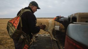 Greg Cronkhite loads his lab into a Dakota 283 kennel.