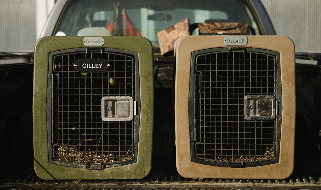 Two Dakota 283 kennels sit next to each other.