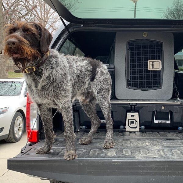Dakota 283 X-Large Dog Kennel Dark Granite