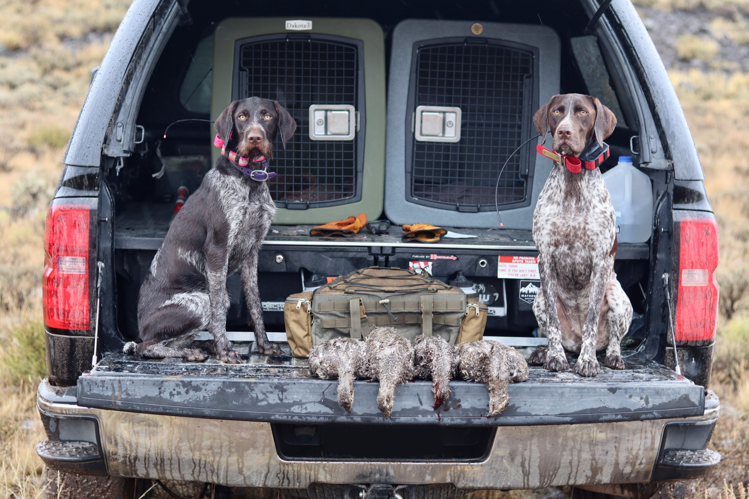 Dakota 283 hunting dog kennels