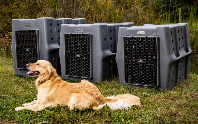 CRaTE kennel