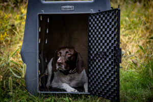 Resting dog in a Dakota 283 CRaTE Kennel