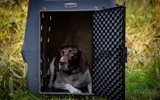 Resting dog in a Dakota 283 CRaTE Kennel