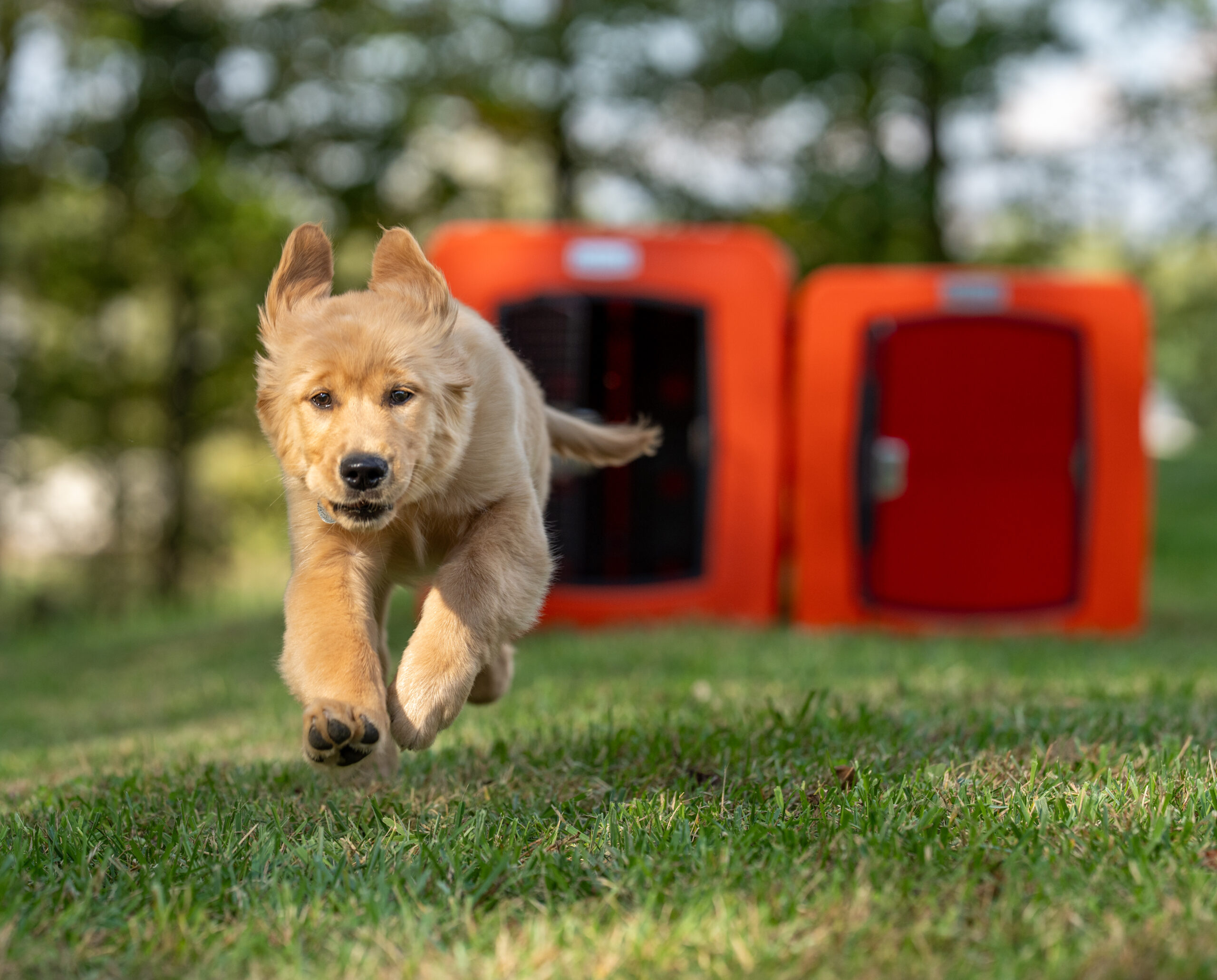 Use Code BF25 for 25% off!